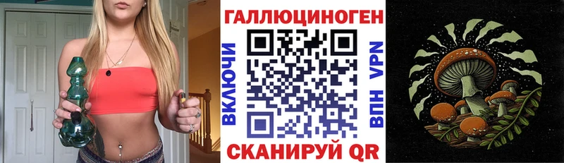 где найти наркотики  Новомичуринск  Псилоцибиновые грибы мухоморы 